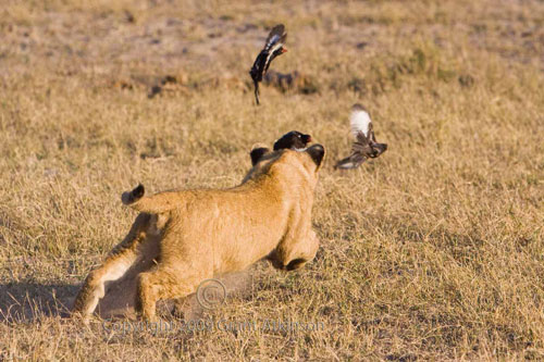 049048049052051048055056051